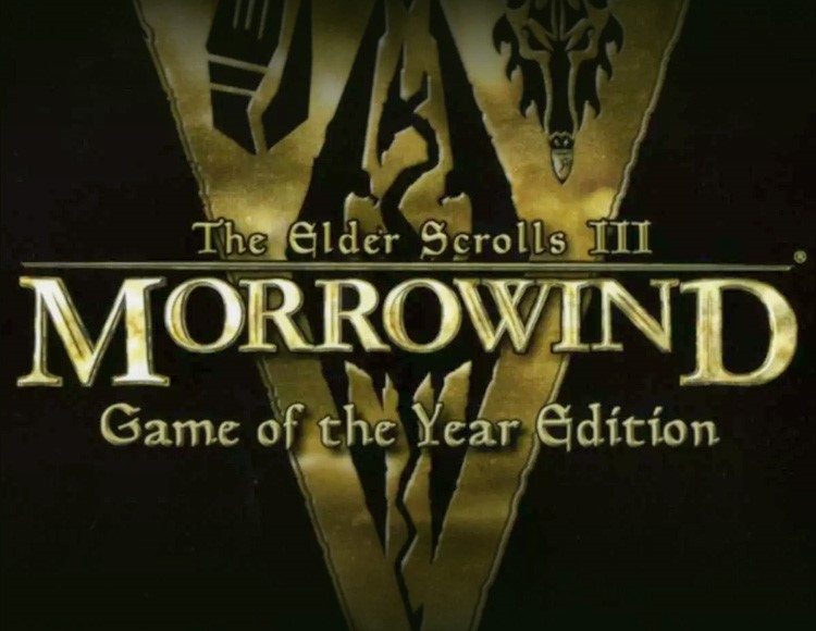 Купить THE ELDER SCROLLS 3 III: MORROWIND GOTY (STEAM)