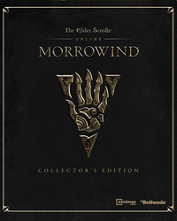 Купить THE ELDER SCROLLS ONLINE + MORROWIND (STEAM/РФ+СНГ)