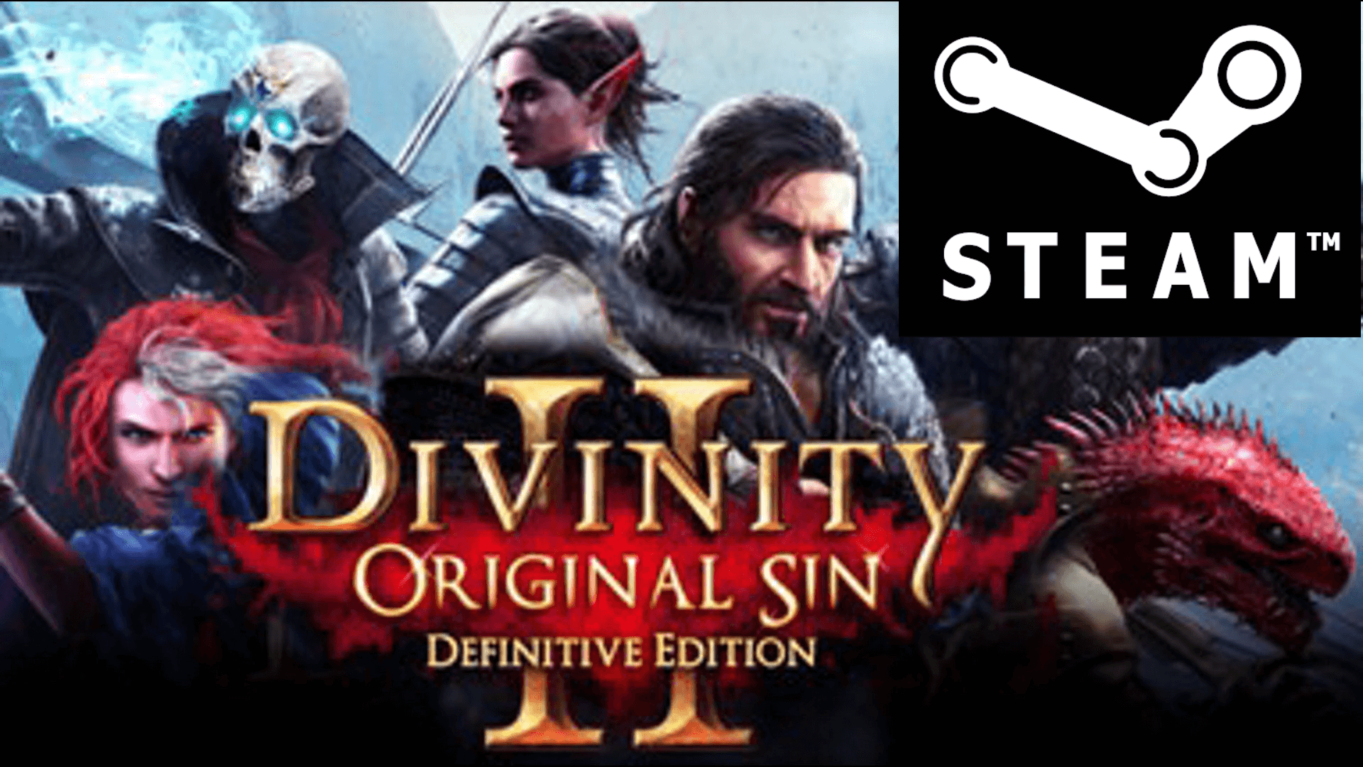 Купить Divinity Original Sin 2 Definitive Edition STEAM-GLOBAL