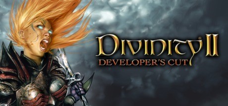 Купить Divinity II Developer's Cut (Steam Gift Россия)