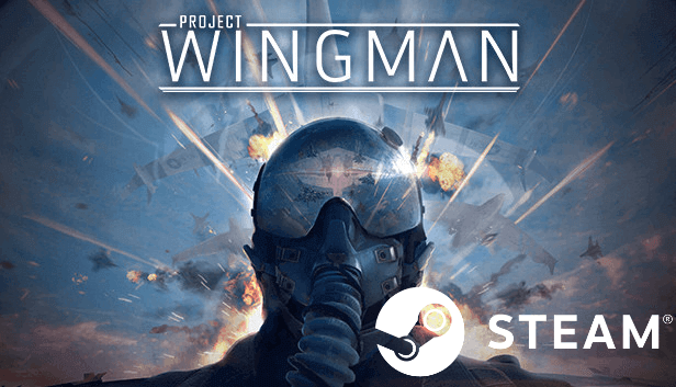 Купить 🛩 Project Wingman - STEAM (Region free)