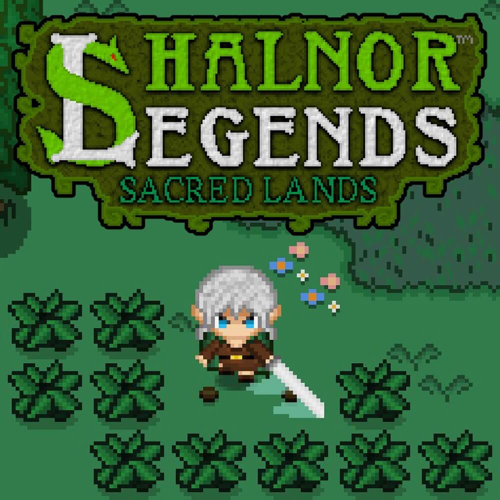Купить Shalnor Legends: Sacred Lands XBOX ONE / SERIES X|S 🔑