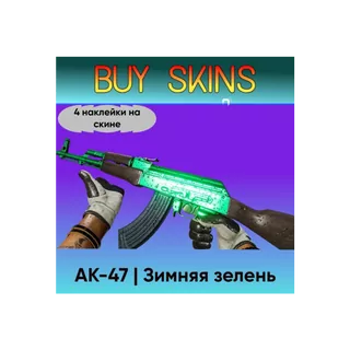 AK-47 | Зимняя зелень (4 наклейки на скине) [CS 2]